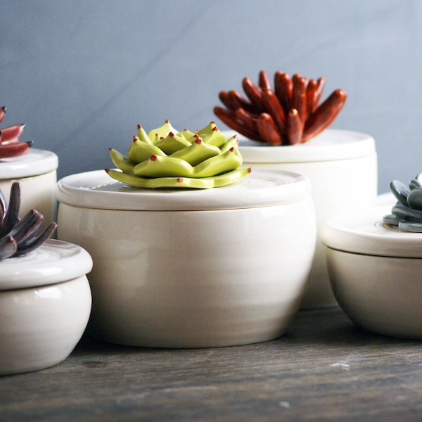 Custom Ceramic Bowls with Cactus Lids | Handmade Sugar Bowls, Trinket Boxes, and Jewelry Boxes