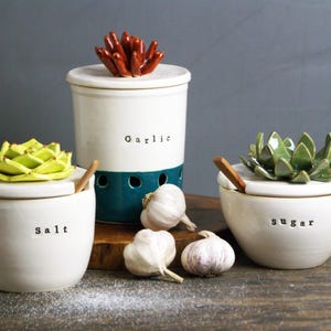 May include: Three white ceramic kitchen canisters with lids, each featuring a different succulent plant on top. The canisters are labeled "Salt", "Sugar", and "Garlic".