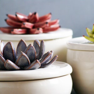 Custom Ceramic Bowls with Cactus Lids Handmade Sugar Bowls, Trinket Boxes, and Jewelry Boxes image 6