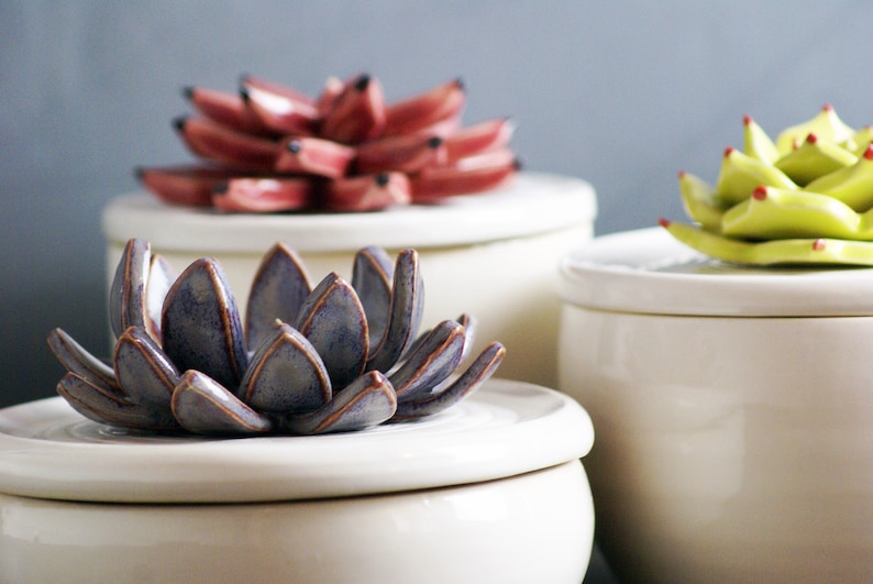 Custom Ceramic Bowls with Cactus Lids Handmade Sugar Bowls, Trinket Boxes, and Jewelry Boxes image 6