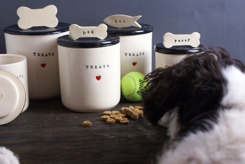 Personalized Ceramic Pet Treats Containers | Handmade, Custom Dog and Cat Treats Jars 