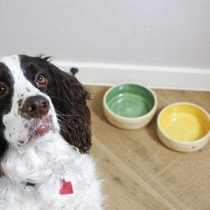 Personalized Pet Bowls Handmade Food Bowl, Ceramic Dog Bowl, Custom Cat Bowl image 4