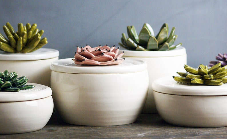 Custom Ceramic Bowls with Cactus Lids Handmade Sugar Bowls, Trinket Boxes, and Jewelry Boxes Style 4: Kayla