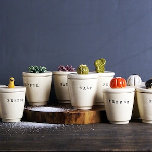Salt and Pepper Small Bowl with Figurine Lid  | Handmade Ceramic Salt and Pepper Cellar