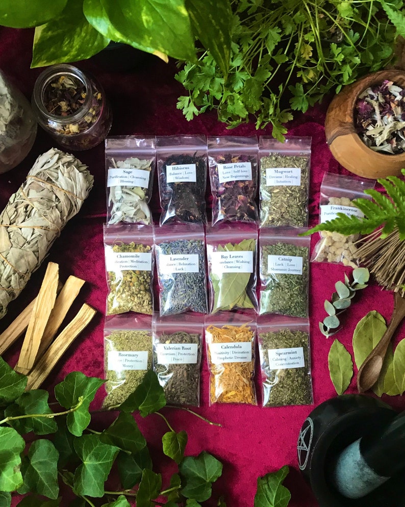 Beginner Witch Herb Kit 13 Magical Starter Herbs for Etsy