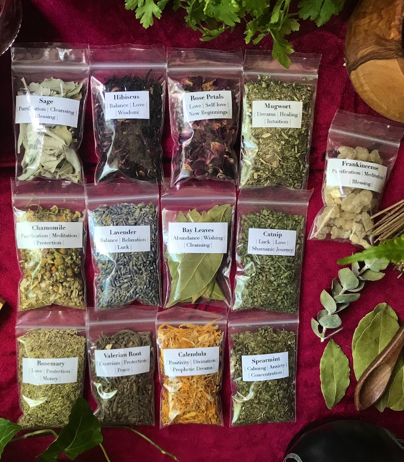 Beginner Witch Herb Kit 13 Magical Starter Herbs for Etsy
