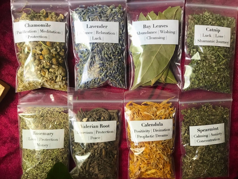 Beginner Witch Herb Kit 13 Magical Starter Herbs for Etsy