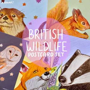 Lot de cinq cartes postales carrées British Wildlife | 148x148 mm