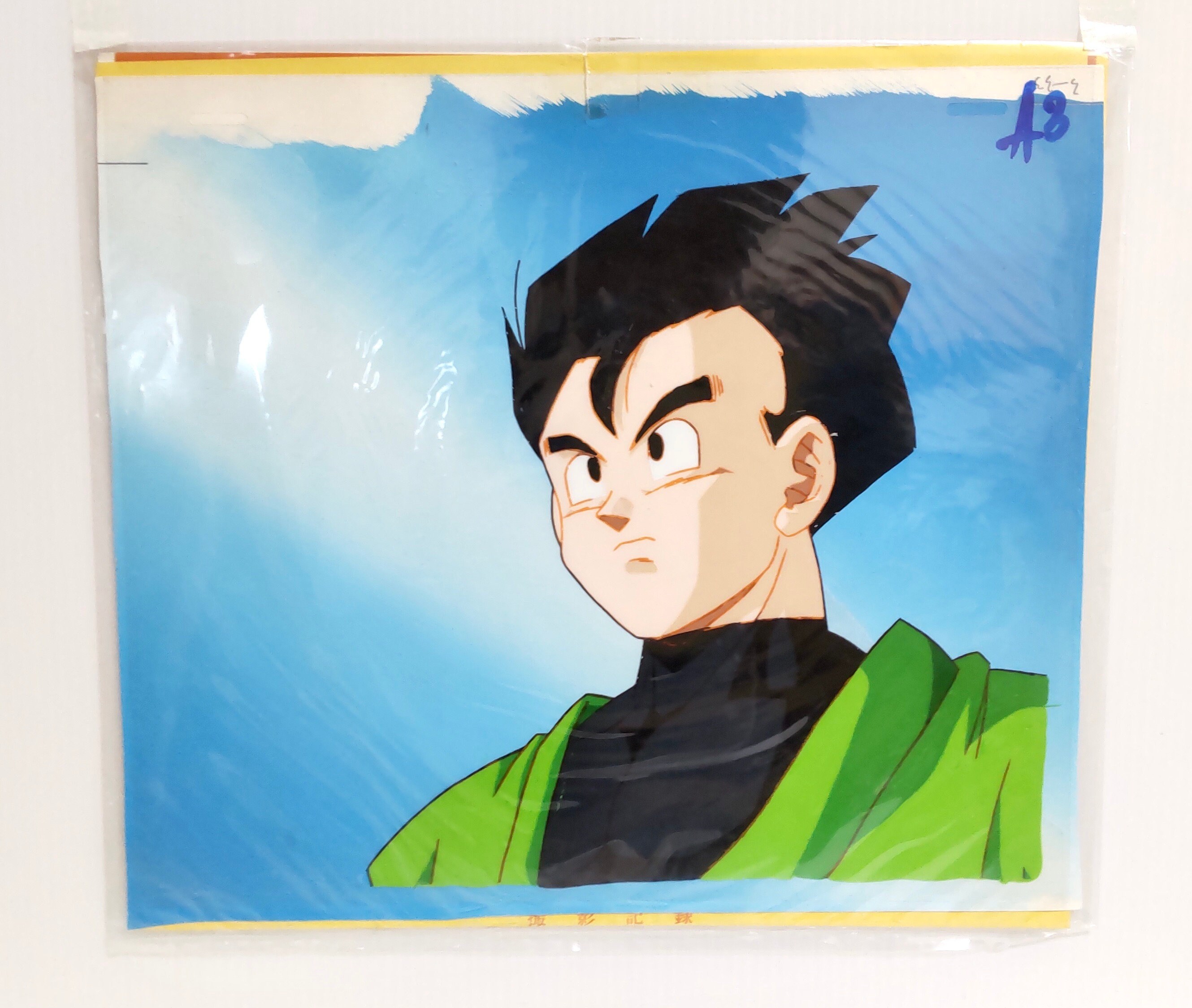 Son Gohan Dragon Ball Z Side Story: Plan to Eradicate the Saiyans - Dragon Ball Z Side Story Plan To Eradicate The Saiyans