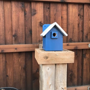 Wren, Chickadee Birdhouse, Nest box, Gray Roof over Blue   (Item #257 - 9 inches Tall x 8   Wide x 8   Deep OD)