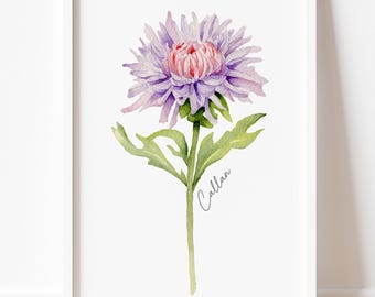 May include: Watercolor print of a purple and pink aster flower in a white frame. The flower has multiple layers of petals and green leaves. The stem is green, and the word "Callan" is written in cursive on the stem.