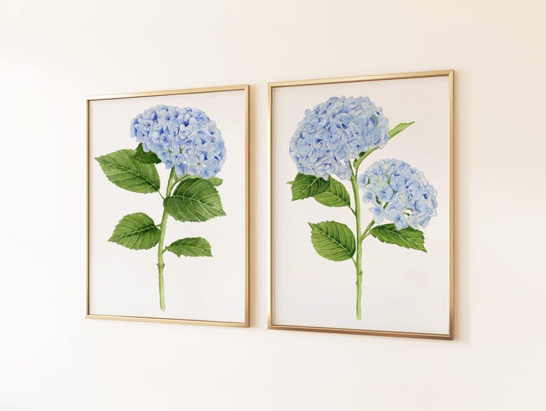 Set of 2 Blue Hydrangea Flower Prints – Botanical Watercolor Wall Art ...