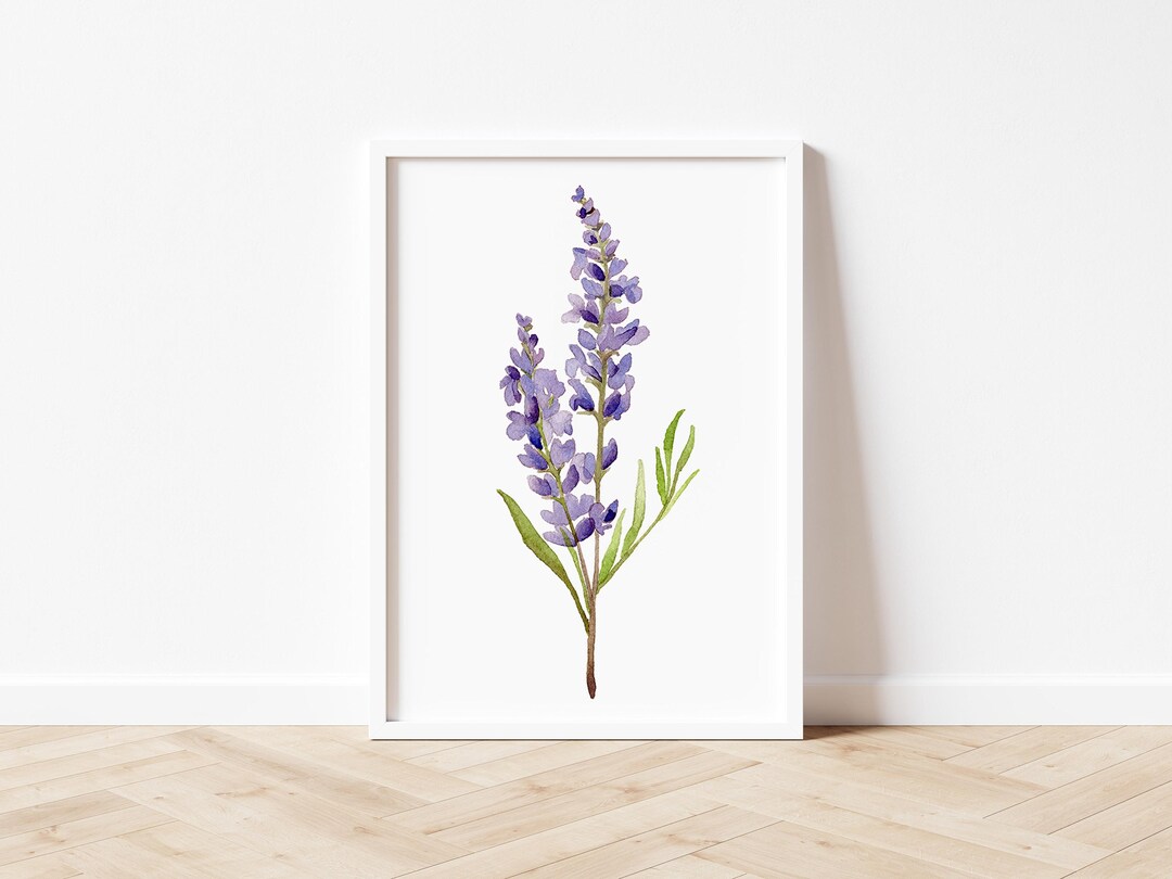 Purple Lavender Flower Print – Botanical Watercolor Wall Art - Coastal ...