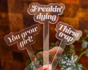 Funny Acrylic Plant Stakes, Plant Markers, Garden Stakes, Garden Decor, Plant Accessories, Funny Plant Markers, Plant Stakes, Plant Signs