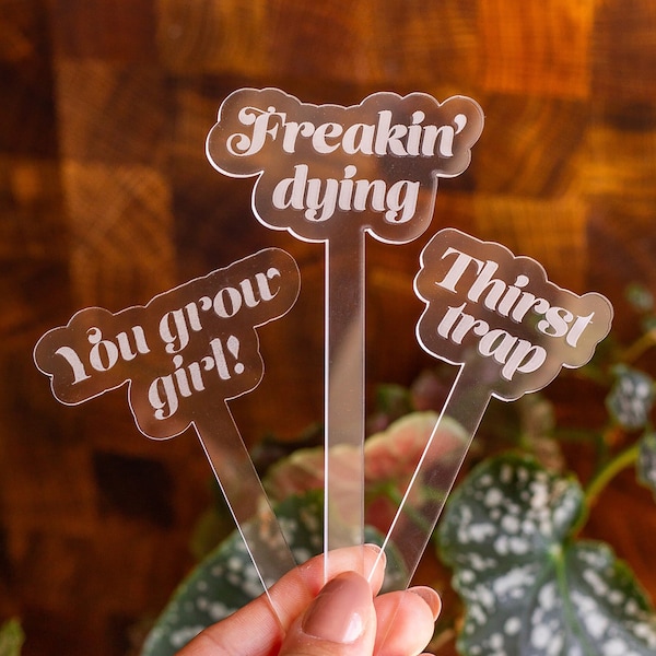 Funny Acrylic Plant Stakes, Plant Markers, Garden Stakes, Garden Decor, Plant Accessories, Funny Plant Markers, Plant Stakes, Plant Signs