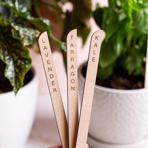 Minimal Plant Stakes, Plant Markers, Garden Stakes, Modern Plant Accessories, Wooden Plant Stakes, Plant Sign, Vegetable Marker, Herb Marker image 3