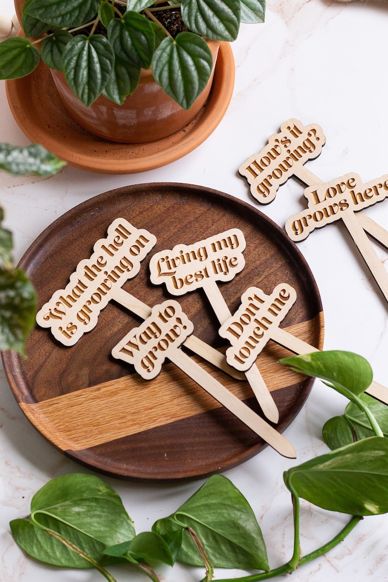 Funny Plant Stakes, Plant Markers, Garden Stakes, Garden Decor, Plant Accessories, Funny Plant Markers, Wooden Plant Stakes, Plant Signs zdjęcie 9