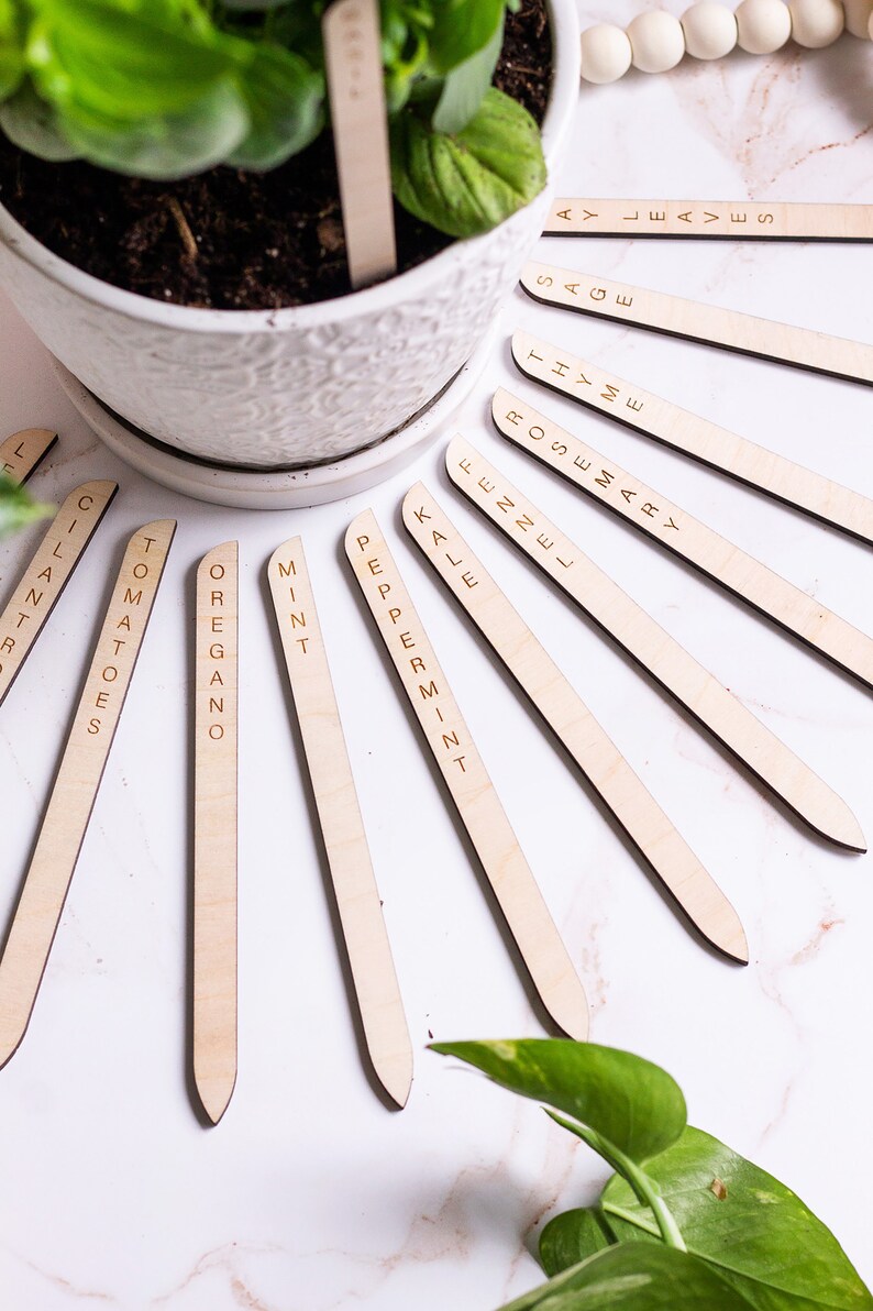 Minimal Plant Stakes, Plant Markers, Garden Stakes, Modern Plant Accessories, Wooden Plant Stakes, Plant Sign, Vegetable Marker, Herb Marker image 5