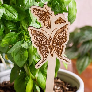 Moths Plant Stake, Plant Markers, Garden Stakes, Garden Decor, Plant Accessories, Wooden Plant Stake, Wood Plant Pick, Plant Decor image 3