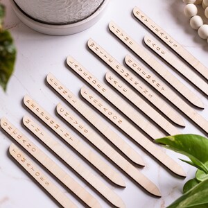 Minimal Plant Stakes, Plant Markers, Garden Stakes, Modern Plant Accessories, Wooden Plant Stakes, Plant Sign, Vegetable Marker, Herb Marker image 8