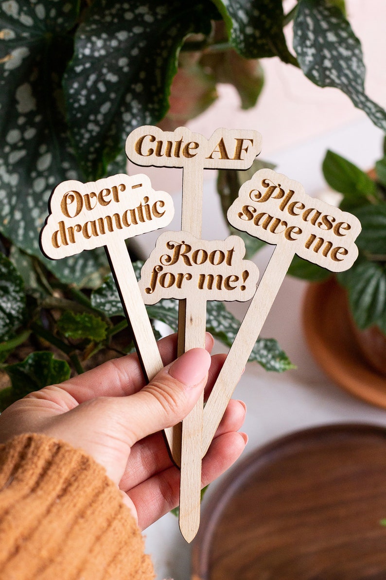 Funny Plant Stakes, Plant Markers, Garden Stakes, Garden Decor, Plant Accessories, Funny Plant Markers, Wooden Plant Stakes, Plant Signs zdjęcie 7