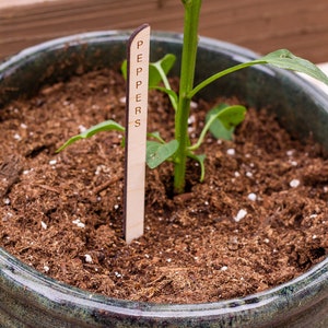 Minimal Plant Stakes, Plant Markers, Garden Stakes, Modern Plant Accessories, Wooden Plant Stakes, Plant Sign, Vegetable Marker, Herb Marker image 10