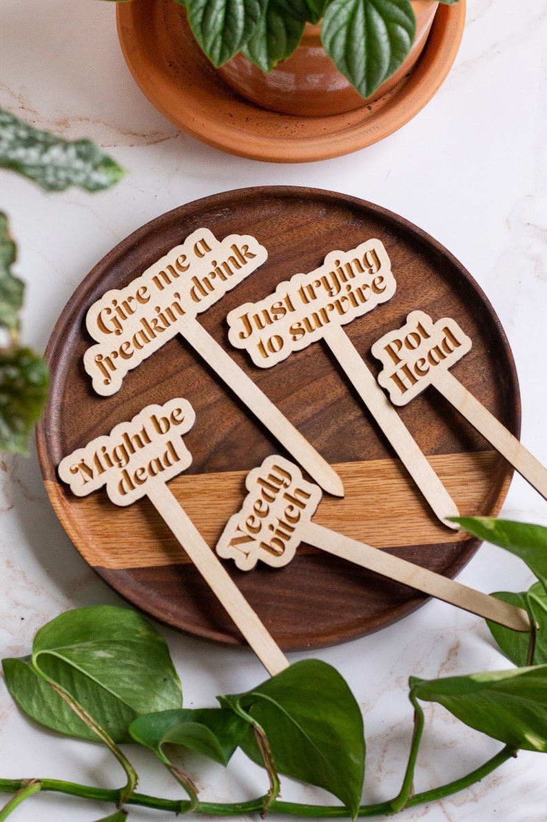 Funny Plant Stakes, Plant Markers, Garden Stakes, Garden Decor, Plant Accessories, Funny Plant Markers, Wooden Plant Stakes, Plant Signs zdjęcie 4