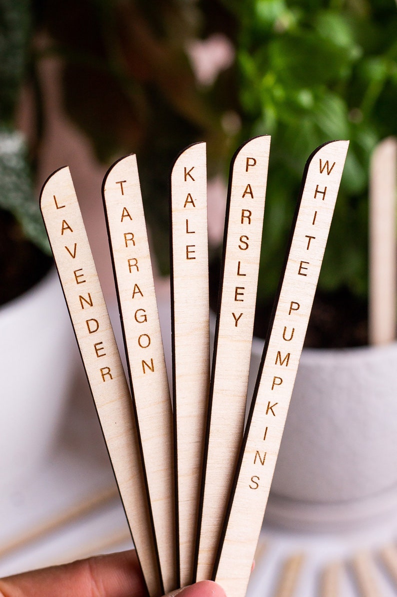 Minimal Plant Stakes, Plant Markers, Garden Stakes, Modern Plant Accessories, Wooden Plant Stakes, Plant Sign, Vegetable Marker, Herb Marker image 1