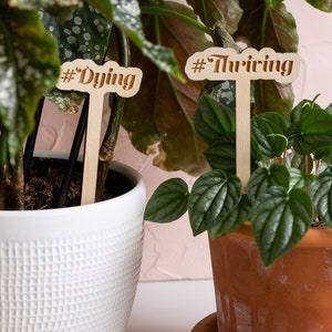 Funny Plant Stakes, Plant Markers, Garden Stakes, Garden Decor, Plant Accessories, Funny Plant Markers, Wooden Plant Stakes, Plant Signs zdjęcie 3