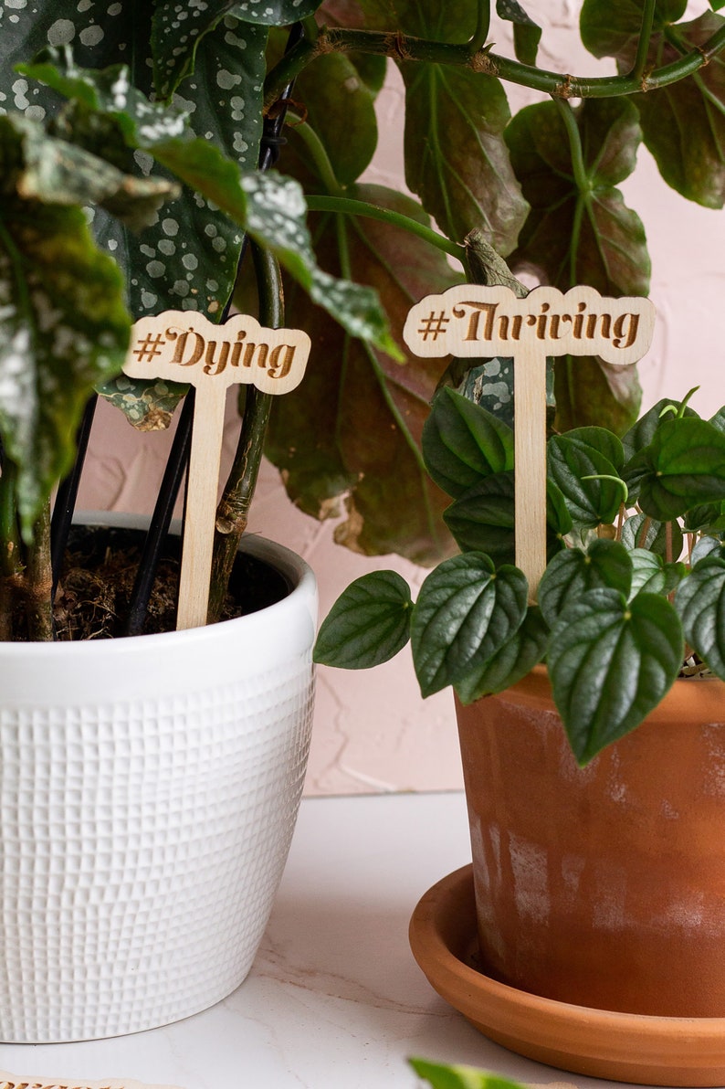 Funny Plant Stakes, Plant Markers, Garden Stakes, Garden Decor, Plant Accessories, Funny Plant Markers, Wooden Plant Stakes, Plant Signs zdjęcie 3