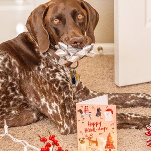Dog Holiday Cards