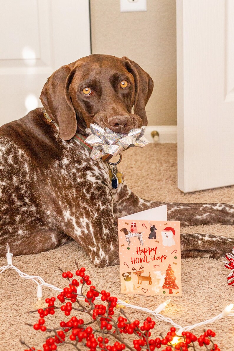 Dog Holiday Cards