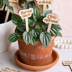 Funny Plant Stakes, Plant Markers, Garden Stakes, Garden Decor, Plant Accessories, Funny Plant Markers, Wooden Plant Stakes, Plant Signs zdjęcie 8