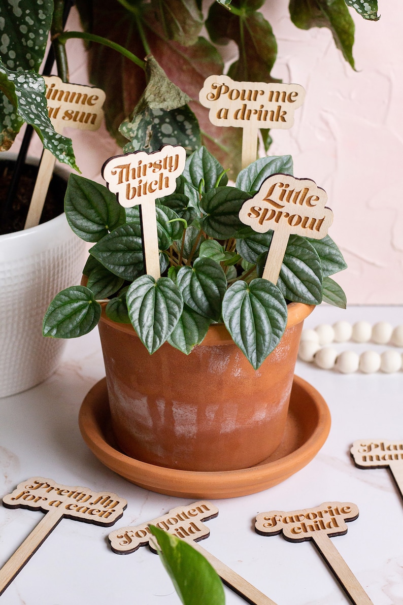 Funny Plant Stakes, Plant Markers, Garden Stakes, Garden Decor, Plant Accessories, Funny Plant Markers, Wooden Plant Stakes, Plant Signs zdjęcie 8
