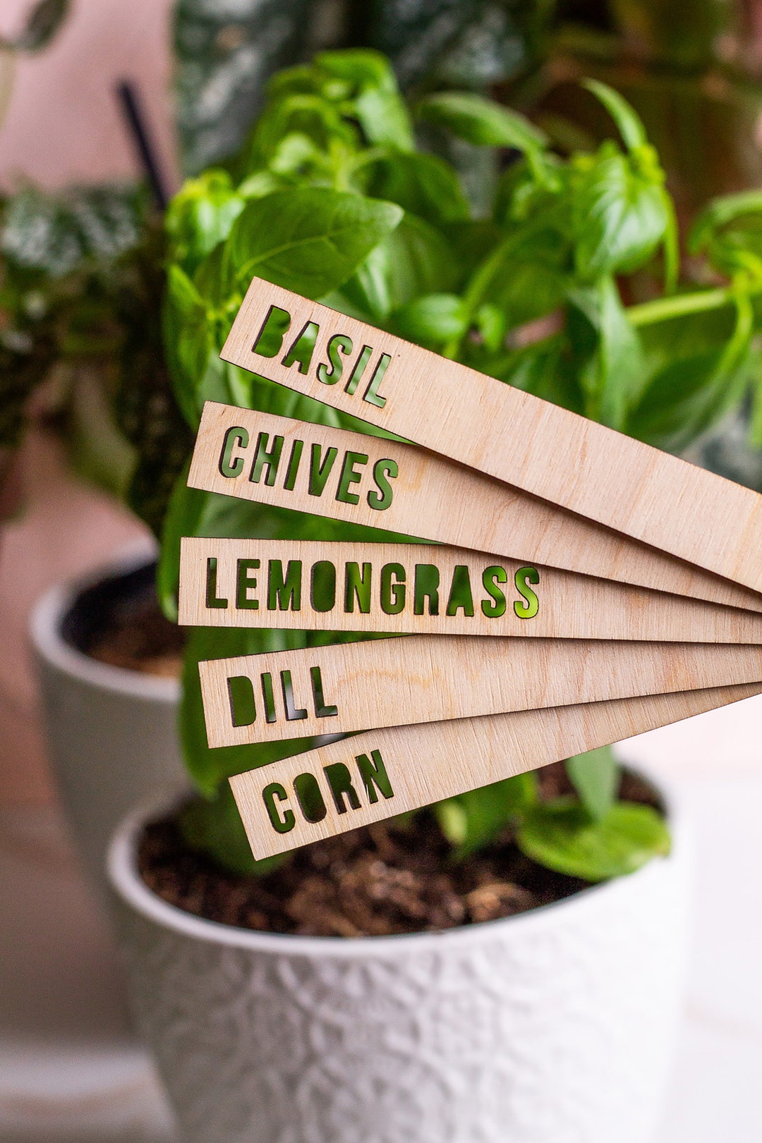 Minimal Plant Markers, Plant Stakes, Garden Stakes, Modern Plant