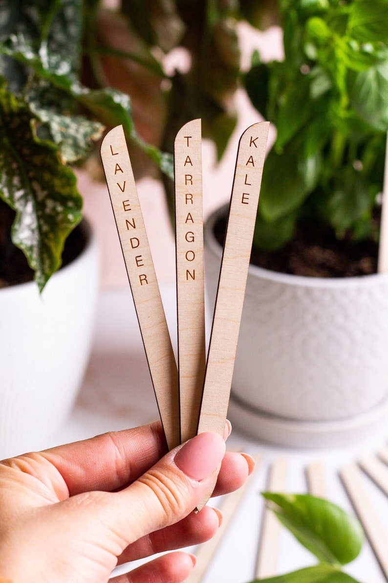 Minimal Plant Stakes, Plant Markers, Garden Stakes, Modern Plant Accessories, Wooden Plant Stakes, Plant Sign, Vegetable Marker, Herb Marker image 3