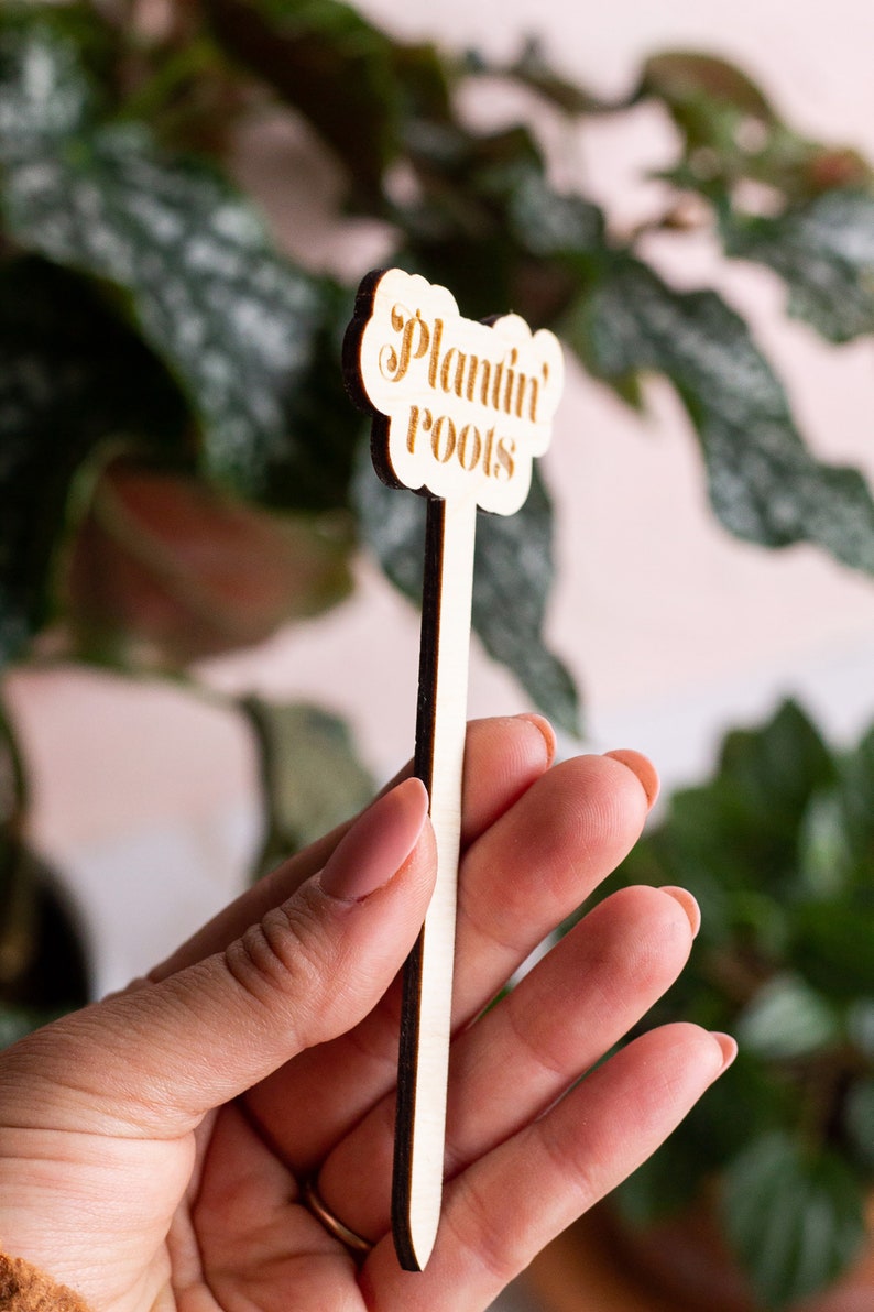 Funny Plant Stakes, Plant Markers, Garden Stakes, Garden Decor, Plant Accessories, Funny Plant Markers, Wooden Plant Stakes, Plant Signs zdjęcie 5