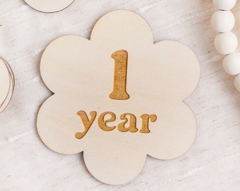 Baby Monthly Milestone Cards, Flower Milestone Marker Set, Baby Month Signs, Wooden Milestone Markers, Milestone Sign, Baby Photo Props