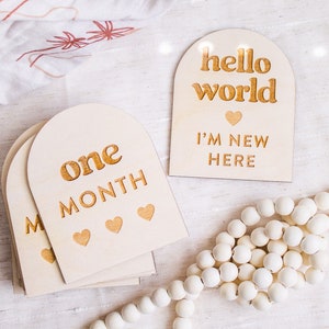 Cartes d'étape mensuelles pour bébé, ensemble de marqueurs d'étape importante, signes du mois de bébé, marqueurs d'étape importante en bois, plaque d'étape bohème, cartes d'étape arquées