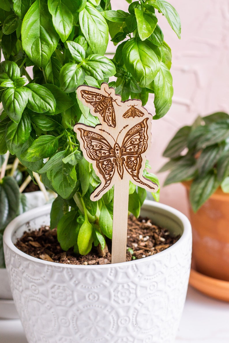 Moths Plant Stake, Plant Markers, Garden Stakes, Garden Decor, Plant Accessories, Wooden Plant Stake, Wood Plant Pick, Plant Decor image 6