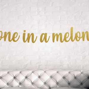 DIY One in a Melon Banner, First Birthday Banner, Birthday Banner, 1st birthday, Glitter Banners, Birthday Garland, Custom Banner
