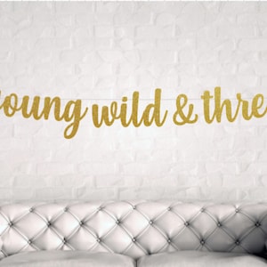 DIY Young Wild and Three Birthday, Young Wild and Three banner, 3rd Birthday decorations, Safari Birthday, Safari Party, Custom Banner