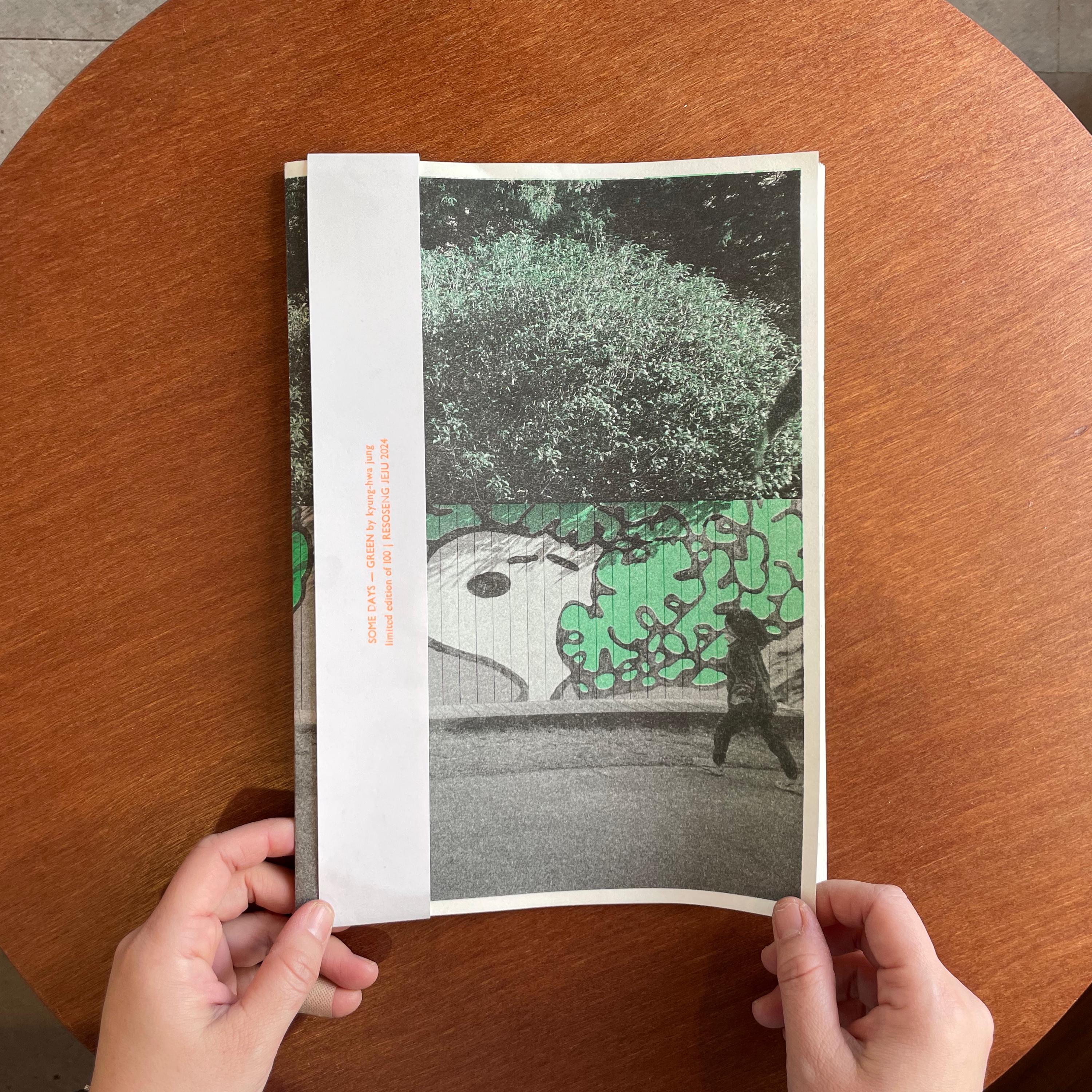Risograph Photo Zine - Some Days Green