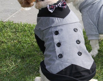 Dog Tuxedo shirt with pinstriped vest and checked bow tie