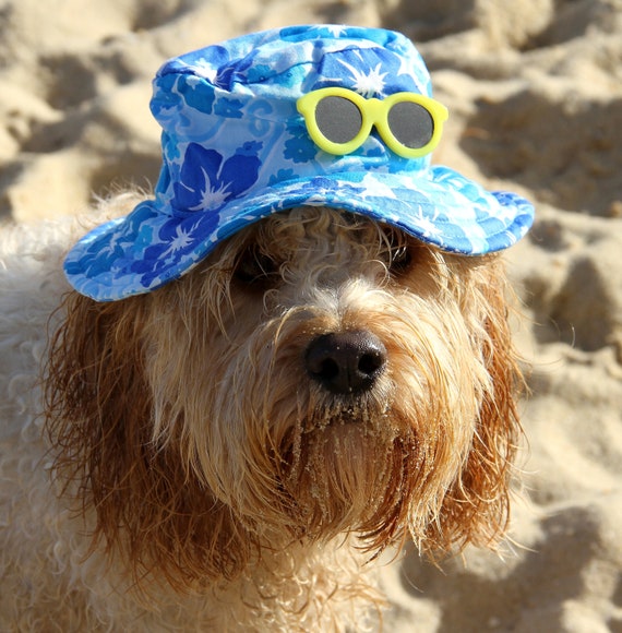 bucket hat for dogs