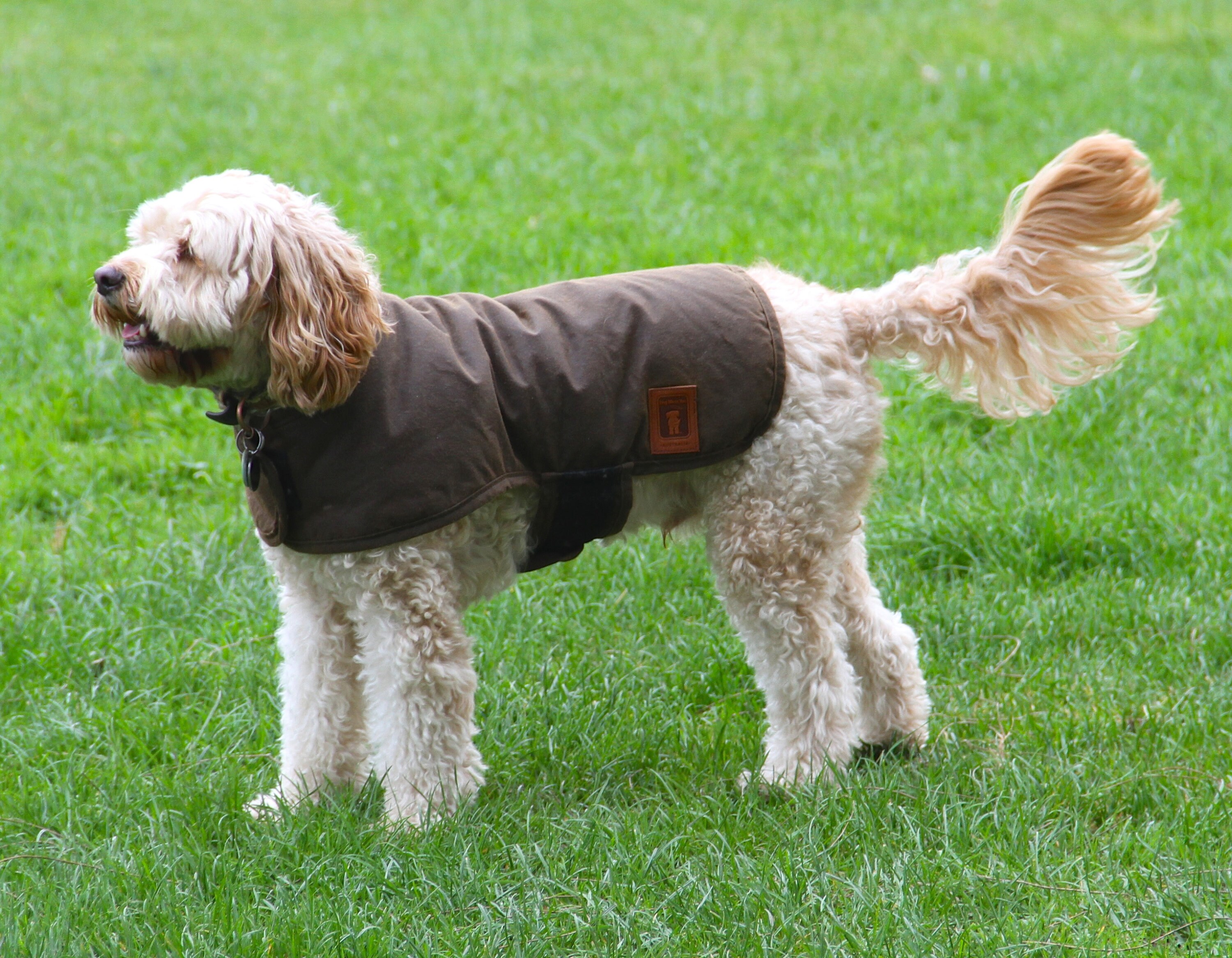 Australian Oilskin Dog Coat Sherpa Lining Size 25cm to 80cm Etsy