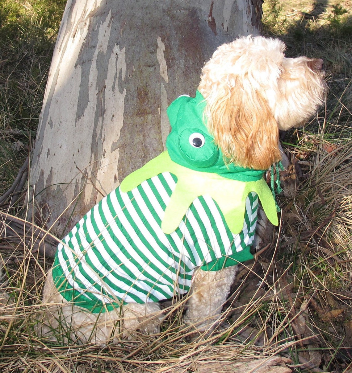 Frog Dog Costume for Halloween St Patricks Day or Parties Etsy UK