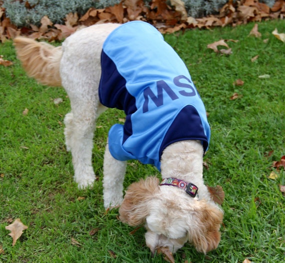Dog cheap blues jersey