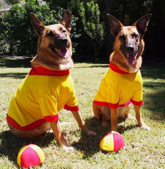surf lifesaver shirt