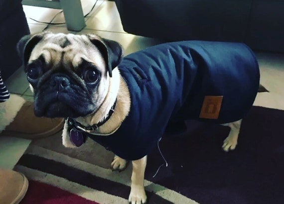 80cm dog coat